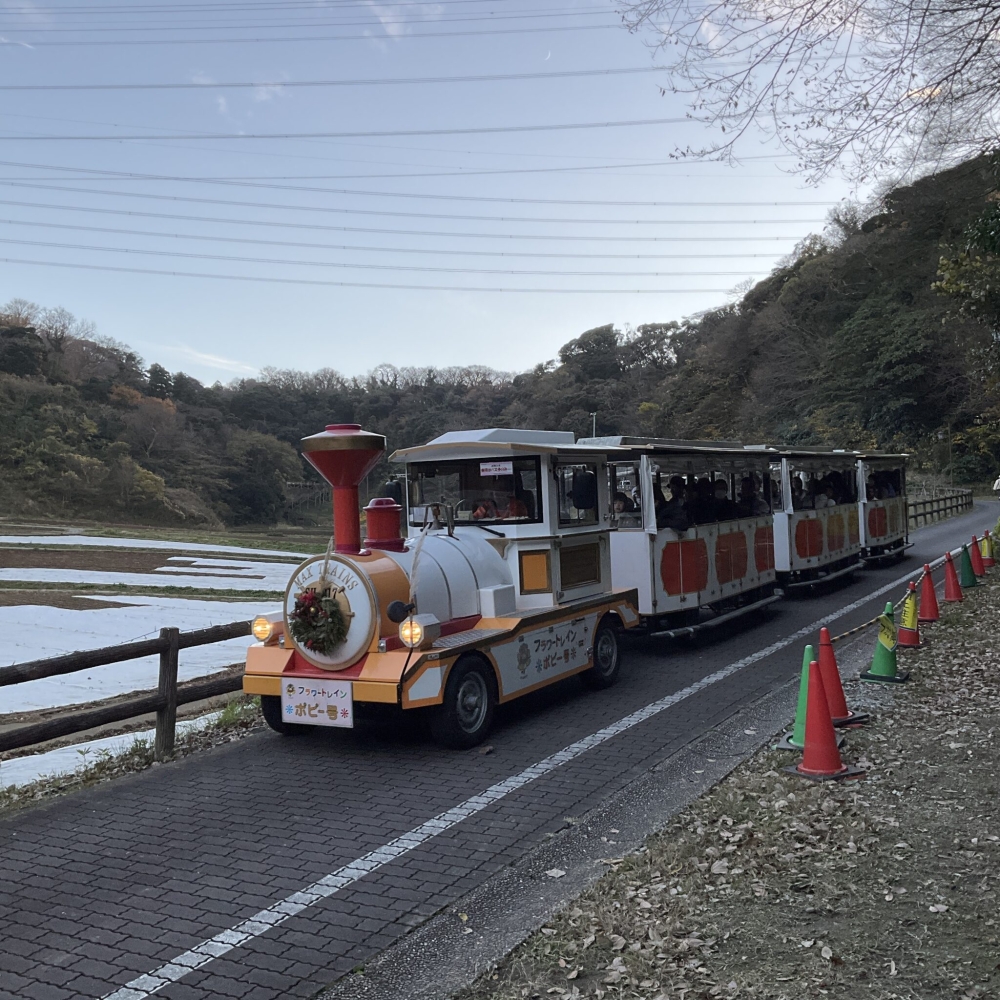 花の国のトレイン